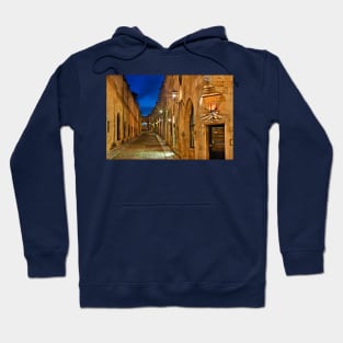 The Avenue of the Knights Hoodie